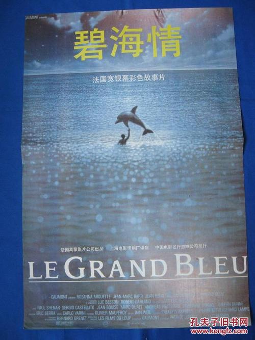 制作仿真军人残疾证